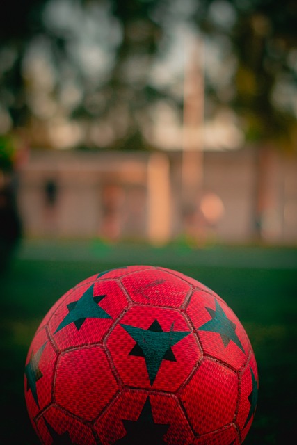 【奖项】阿卡荣获斯蒂芬·埃德伯格体育风尚奖，卢布获评阿瑟·阿什人道主义奖